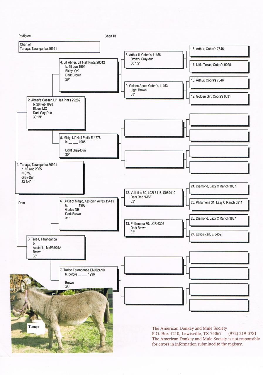 Taranganba _Tanaya_Pedigree
